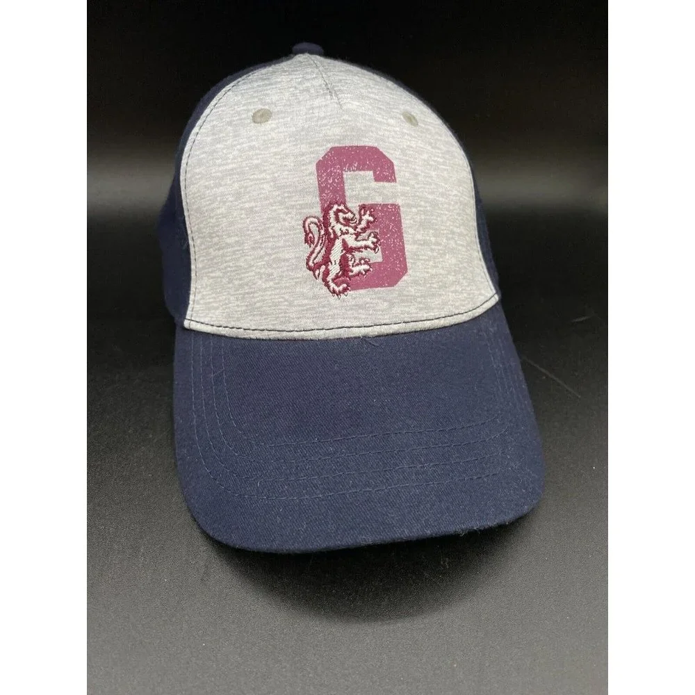 Harry Potter Gryffindor Snapback Cap Hat Official Licensed YOUTH